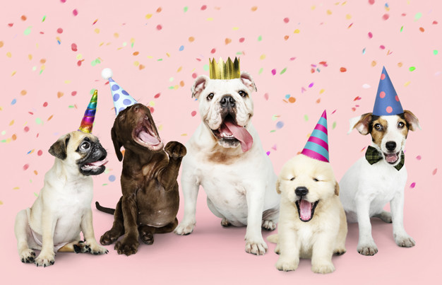 Be happy! Happy New Year 2019!