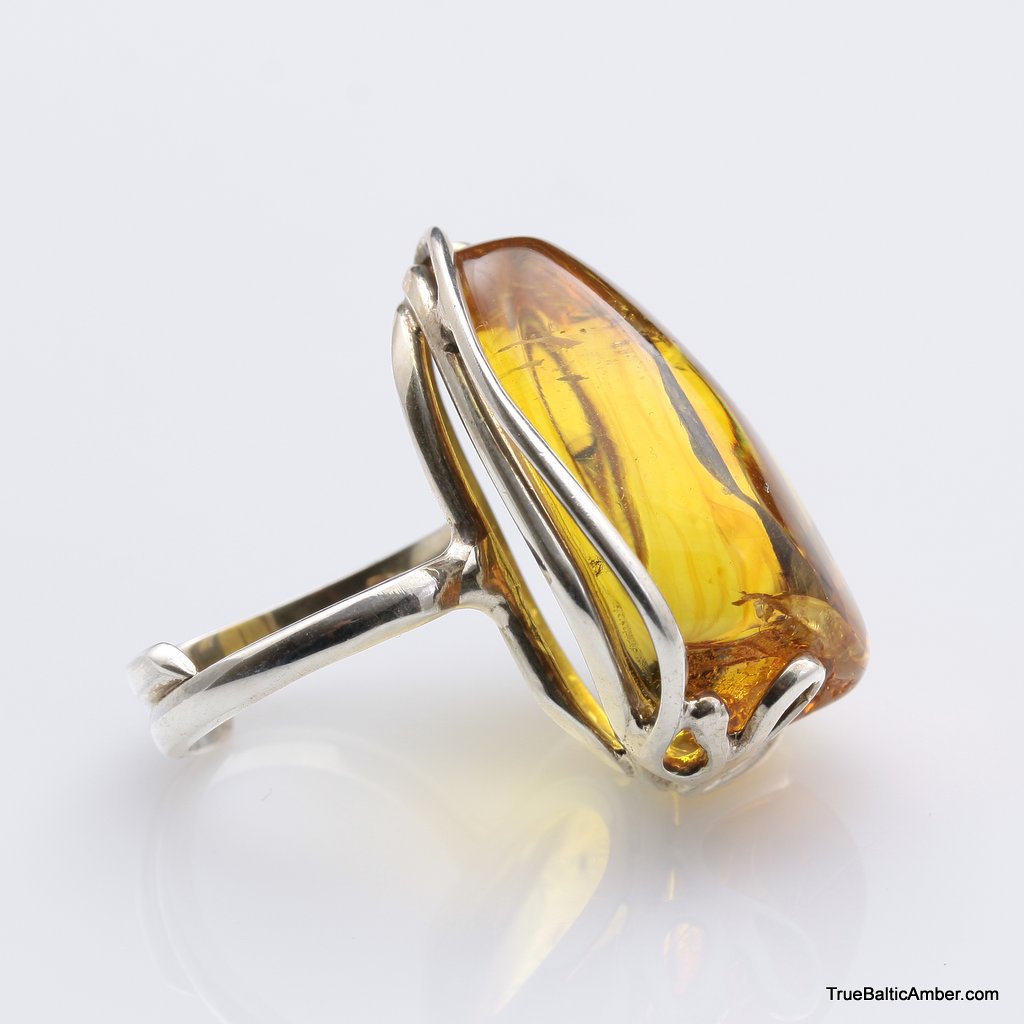 Fossil insect genuine baltic amber gold plated silver ring 6.5 180704-14