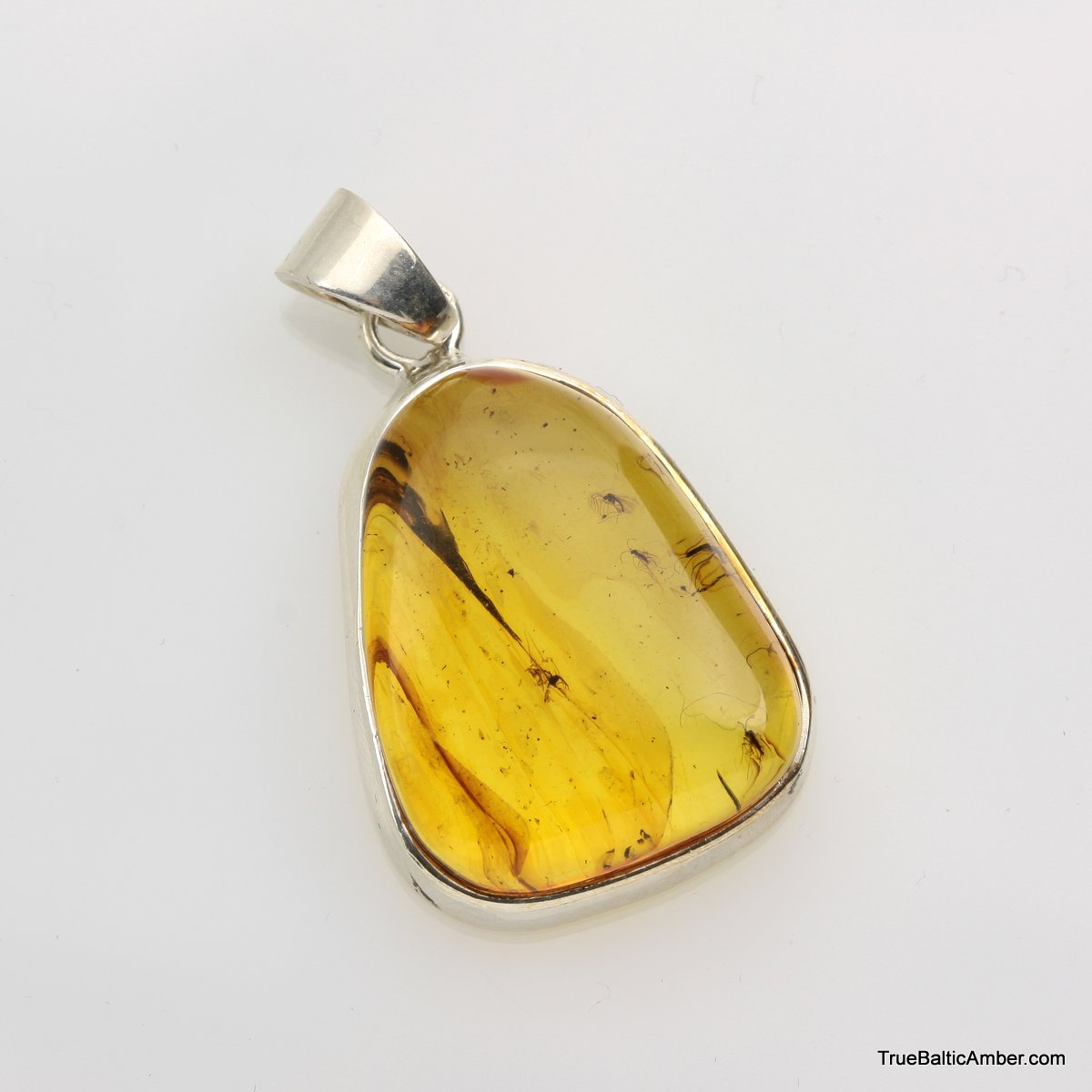 925 Sterling Silver Baltic Amber Pendant Necklace with Fossil trapped for Million Years Natural Amber Jewelry Amber Pendant with Insect
