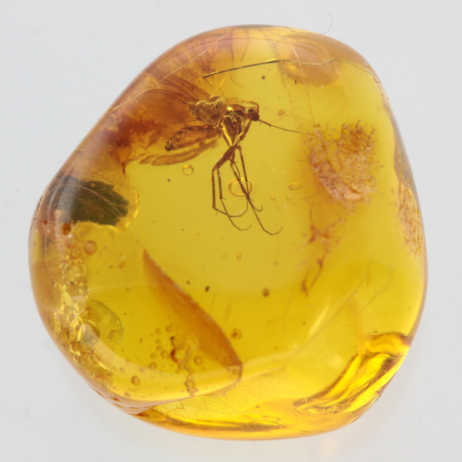 Amber Piece NATURAL BALTIC AMBER Piece with Insect Inclusion Fossil Insects Gift 10,6g 13843