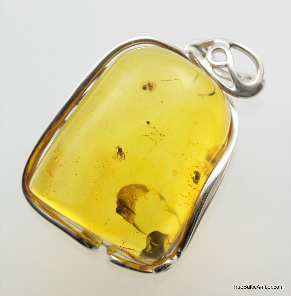 Rare Natural Baltic Amber with Insect Inclusion & Sterling Silver Pendant 