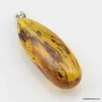 Honey Baltic amber DROP pendant