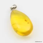 Honey Baltic amber DROP pendant
