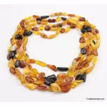 5 Multi Large BEANS Baltic amber adult wholesale necklaces