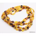 5 Multi Large BEANS Baltic amber adult wholesale necklaces