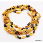 5 Multi Large BEANS Baltic amber adult wholesale necklaces