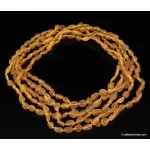 5 Honey RAW BEANS Baltic amber adult necklaces