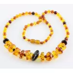 Composition Baltic amber necklace 19in