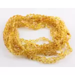 10 Raw Honey BEANS Baltic amber adult necklaces 45cm