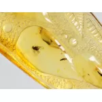 Carved Amulet Baltic amber fossil pendant w insect