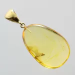 Drop Baltic amber pendulum pendant w insect inclusion
