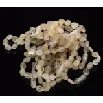 10 Raw Lemon BEANS Baltic amber adult bracelets 19cm