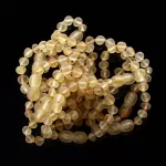 10 Raw Lemon BAROQUE Baltic amber teething bracelets 12cm