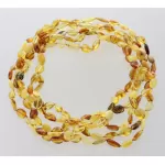 5 Mix BEANS Baltic amber adult necklaces 45cm