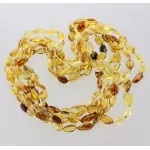 5 Mix BEANS Baltic amber adult necklaces 51cm