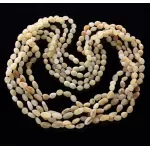 5 Raw Milk BEANS Baltic amber adult necklaces 65cm