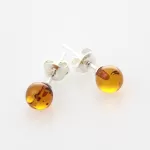 Honey Shiny Studs Baltic amber Silver Earrings