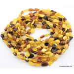10 Multi larger BEANS Baltic amber adult wholesale necklaces