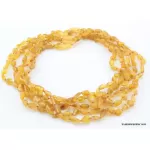 5 Honey RAW BEANS Baltic amber adult necklaces