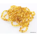 10 BEANS n NUGGETS Baltic amber adult strech bracelets