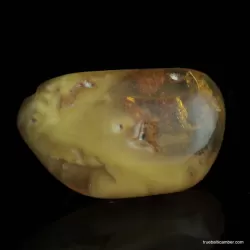 Vintage Baltic amber brooch