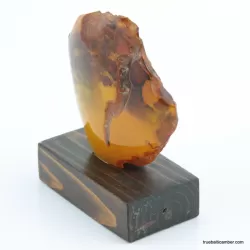 Vintage Baltic amber fossil stone w stand