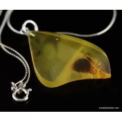 Genuine Baltic amber CARVED silver pendant