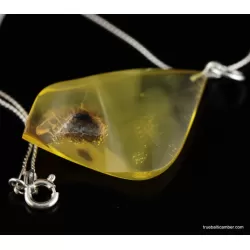 Genuine Baltic amber CARVED silver pendant