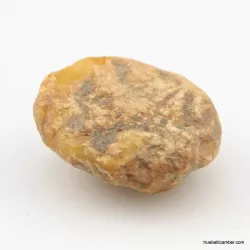 Natural rare Baltic amber resin drop with cracks
