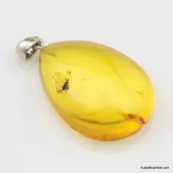 Honey Baltic amber half DROP pendant