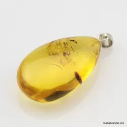 Honey Baltic amber DROP pendant