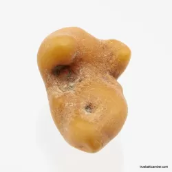 Natural rare Baltic amber resin drop with cracks