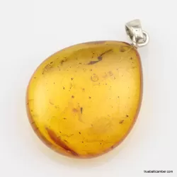 Honey Baltic amber DROP pendant