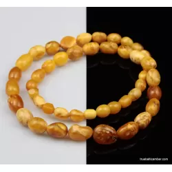 Vintage Egg Yolk beads Baltic amber unisex necklace