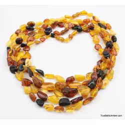 5 Multi Large BEANS Baltic amber adult wholesale necklaces