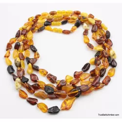5 Multi Large BEANS Baltic amber adult wholesale necklaces