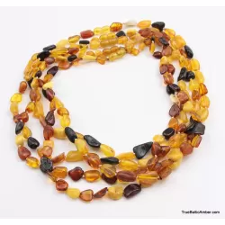 5 Multi Large BEANS Baltic amber adult wholesale necklaces
