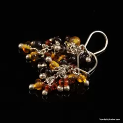 Grape bunch Baltic amber multi dangle earrings