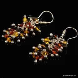 Grape bunch Baltic amber multi dangle earrings