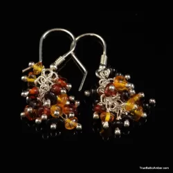 Grape bunch Baltic amber multi dangle earrings