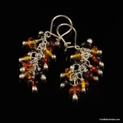 Grape bunch Baltic amber multi dangle earrings