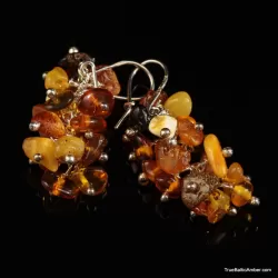 Grape bunch Baltic amber multi dangle earrings