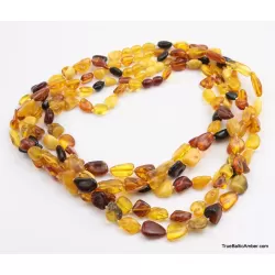 5 Multi Large BEANS Baltic amber adult wholesale necklaces