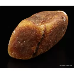 Large Egg Yolk Baltic amber fossil sea stone 146g