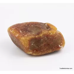 Large Egg Yolk Baltic amber fossil sea stone 146g