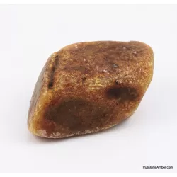 Large Egg Yolk Baltic amber fossil sea stone 146g