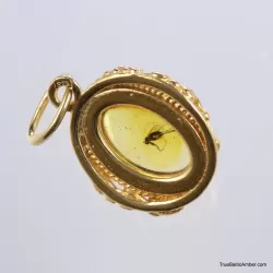 Gold Plated Baltic amber pendant with insect inclusion