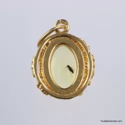 Gold Plated Baltic amber pendant with insect inclusion