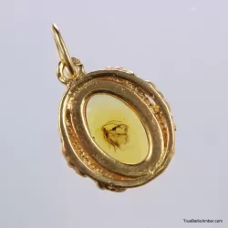 Gold Plated Baltic amber pendant with insect inclusion