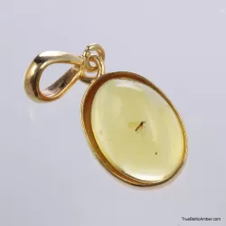 Gold Plated Baltic amber pendant with insect inclusion
